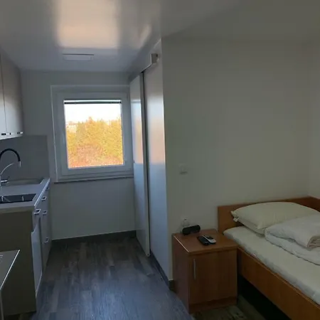 Guest house Decorus *